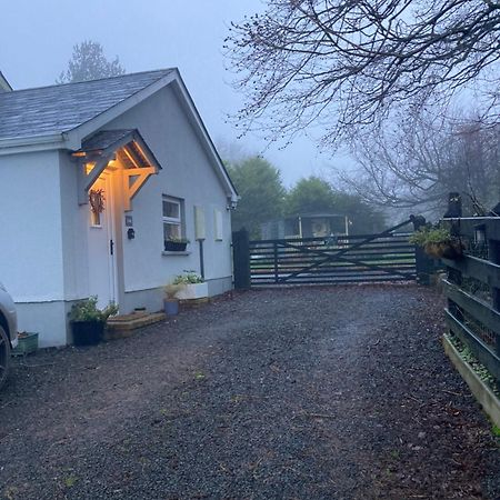 Beech Tree Cottage Glenwherry ภายนอก รูปภาพ
