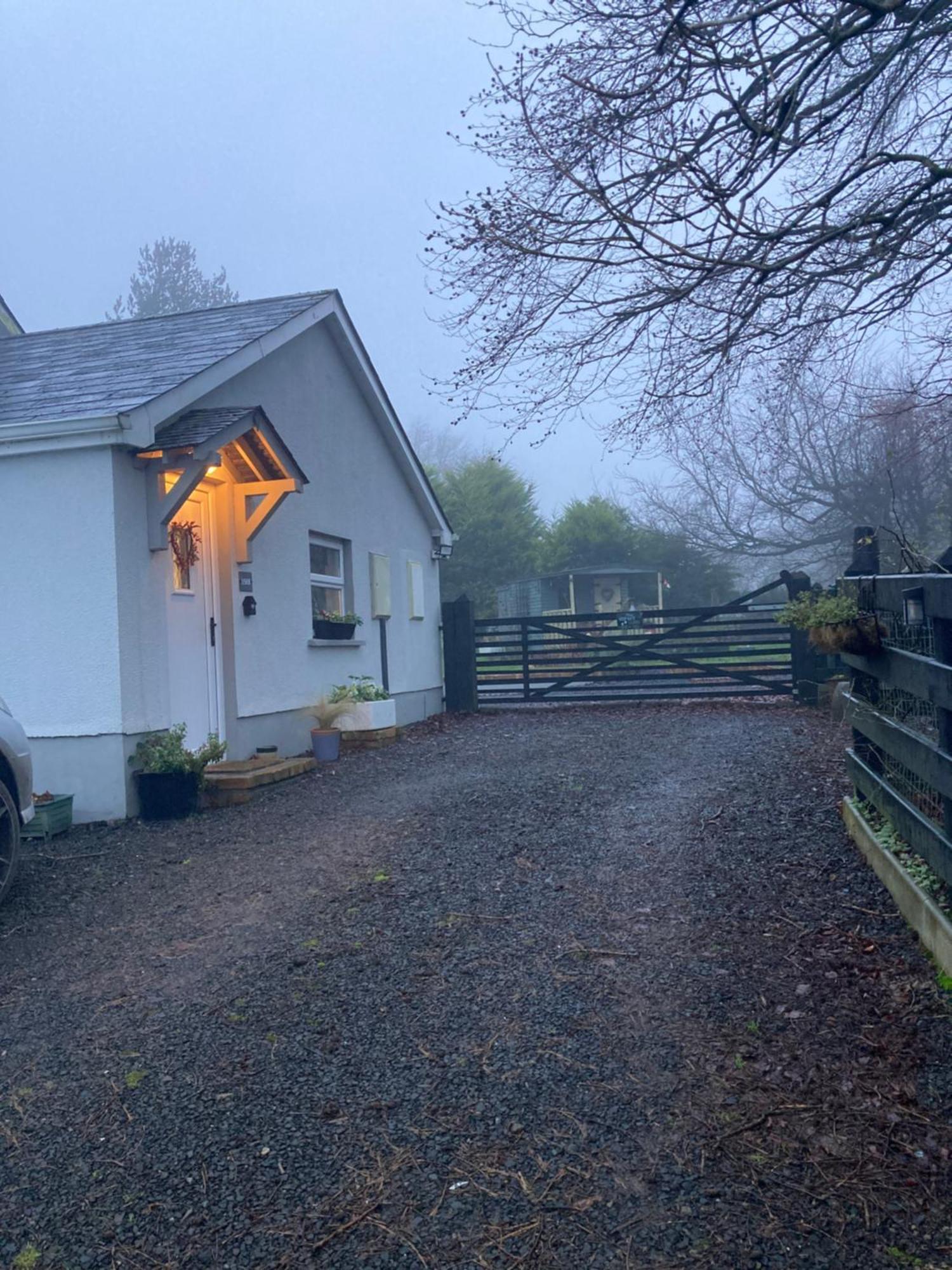 Beech Tree Cottage Glenwherry ภายนอก รูปภาพ